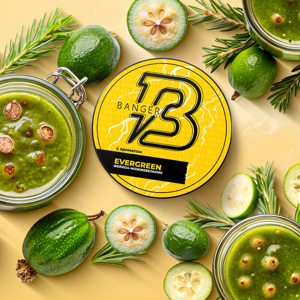 Banger Evergreen Hookah Flavor | Refreshing Herbal Mint Blend