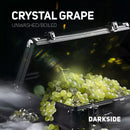 Darkside Crystal Grape Hookah Shisha Flavor -