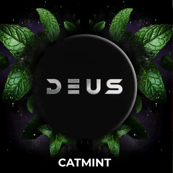 Deus Catmint Hookah Shisha Tobacco -