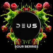 Deus Sour Berries Hookah Shisha Tobacco -