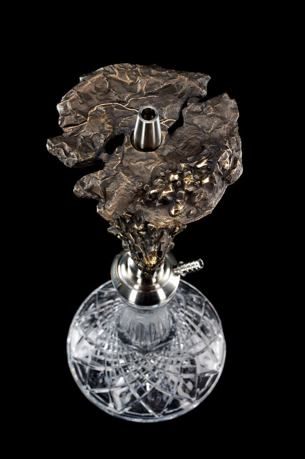 Porno jiyan TTni sikadi