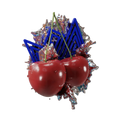Sapphire Crown Bitter Cherry Hookah Flavor