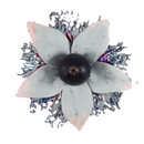 Sapphire Crown Bright Side Hookah Flavor -