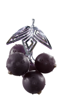 Sapphire Crown Fragrant Blackcurrant Hookah Flavor -