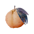 Sapphire Crown Sunny Peach Hookah Flavor