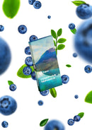 Sarma Classic North Blueberry Hookah Shisha Tobacco