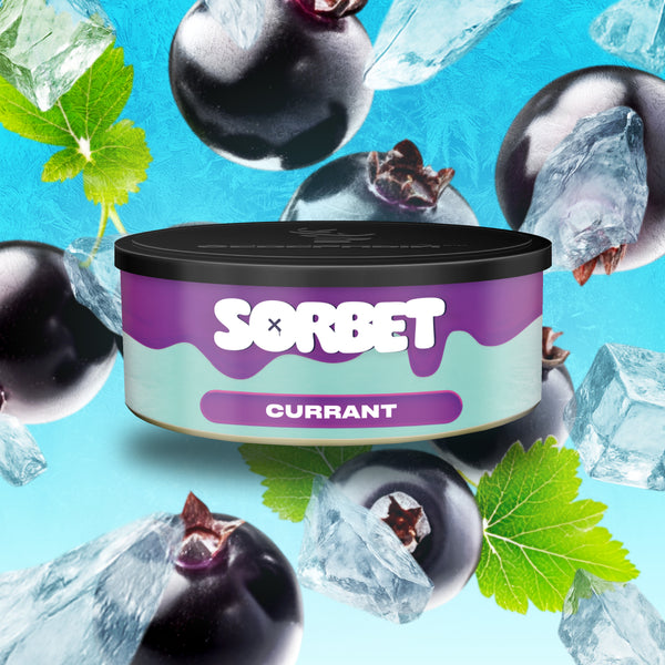 Buy Severniy Currant Sorbet Hookah Tobacco