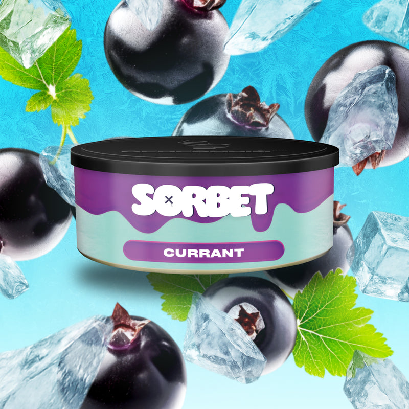 Severniy Currant Sorbet Hookah Shisha Tobacco -