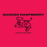 Severnyi Garden Raspberry Hookah Shisha Tobacco -