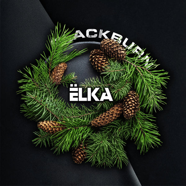 Blackburn Ёlka - 