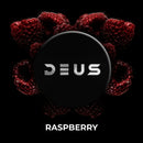 Deus Raspberry Hookah Shisha Tobacco -