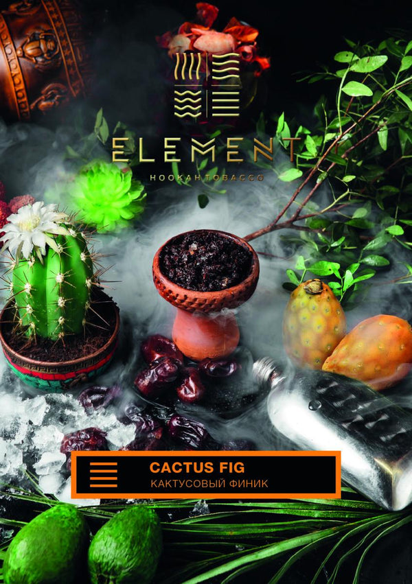 Element Earth Line Cactus Fig - 