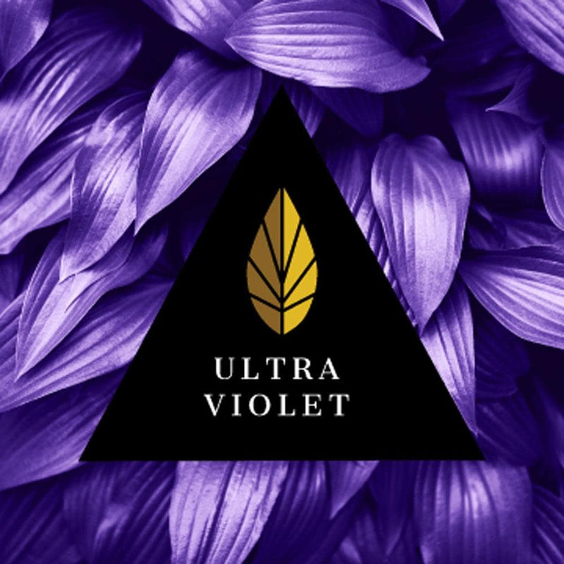 Azure Black Line Ultra Violet 100g - 