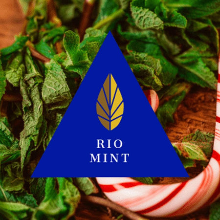 Azure Gold Line Rio Mint Hookah Shisha Flavor - 