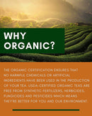 Gardenika Tulsi Turmeric Ginger Tea, Loose Leaf, USDA Organic, Caffeine Free Superfood Blend, 55+ Cups – 4 Oz (113g) - 